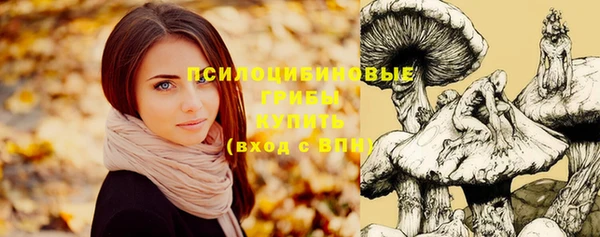 PSILOCYBIN Усмань